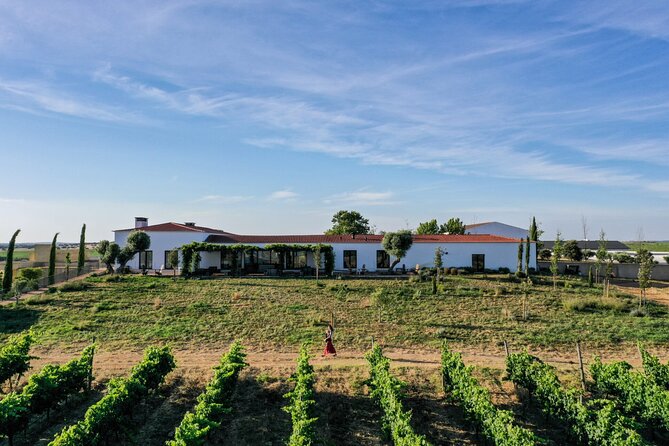 Private Full-Day Alentejo Wine Tour - Key points at a glance