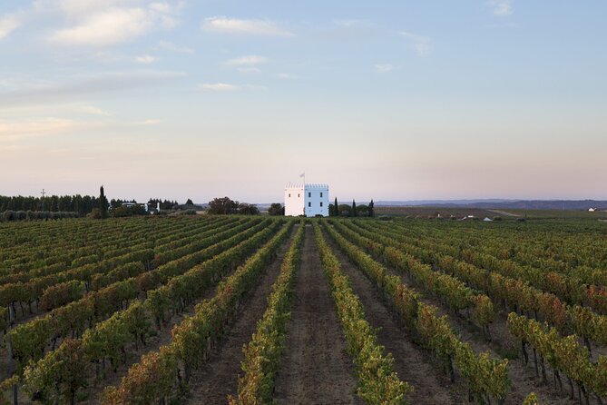 Private Full-Day Alentejo Wine Tour - Wine Bar Esporão lunch: where you regain energy