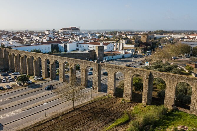 Private Full-Day Historical Tour of Medieval Évora - Key highlights worth paying attention to