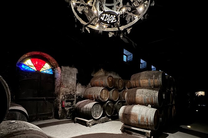 Private Full-Day Wine Tour from Lisbon with Tastings - Premium pickup and a small-group feel in the countryside