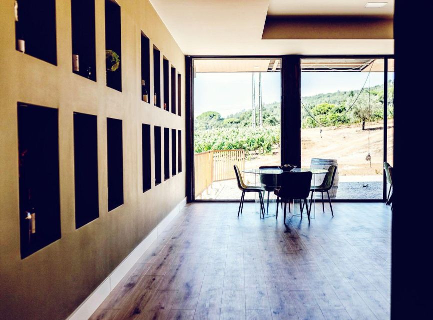 Private Lisbon Arrábida Wine Tour: Culture, Scenery & Wines - Who this suits best (and who might prefer another plan)