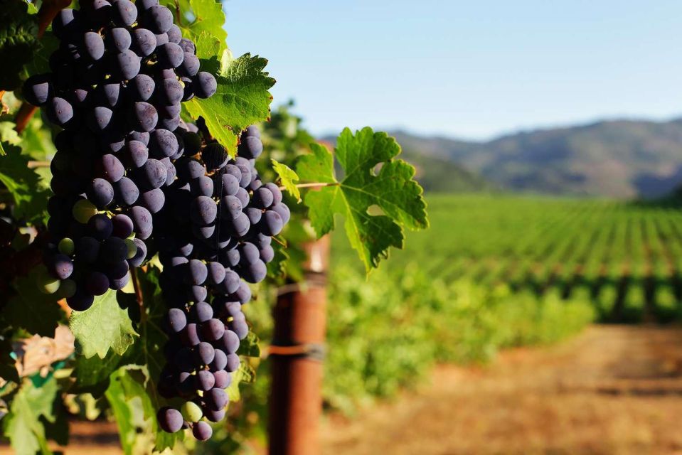 Private Lisbon Arrábida Wine Tour: Culture, Scenery & Wines - Getting from Lisbon without losing the day to logistics