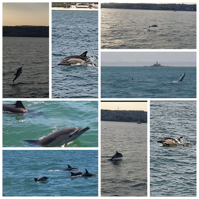 Private Lisbon Sightseeing Sailing Boat Tour with Locals - Key things that make this Lisbon sailing tour worth it