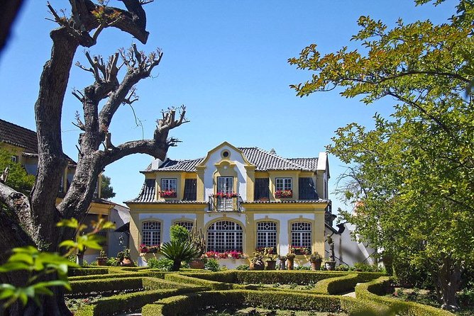 Private Lisbon wine tasting tour in the Setubal region - Cristo Rei Break: A Quick Cultural Pause and View Time