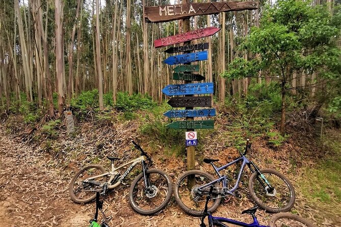 Private mountain bike tour in Lisbon/Sintra/Cascais - Where the ride starts in Colares (and why that matters)