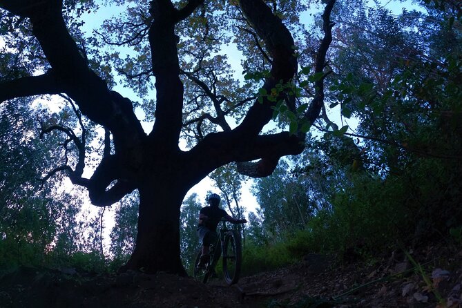 Private mountain bike tour in Lisbon/Sintra/Cascais - Serra de Sintra: the climb that earns the descent
