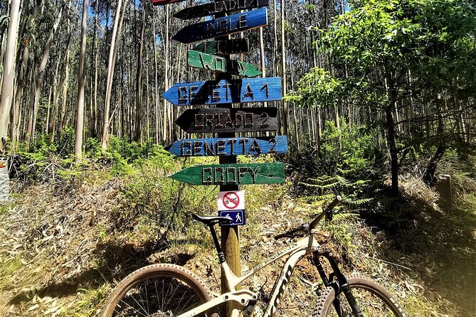 Private mountain bike tour in Lisbon/Sintra/Cascais - Price and value: is $168.58 worth it?