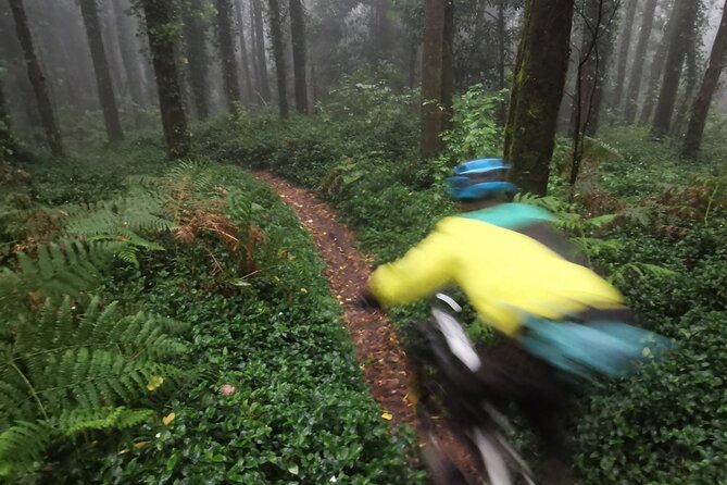 Private mountain bike tour in Lisbon/Sintra/Cascais - Who this tour is perfect for (and who should think twice)