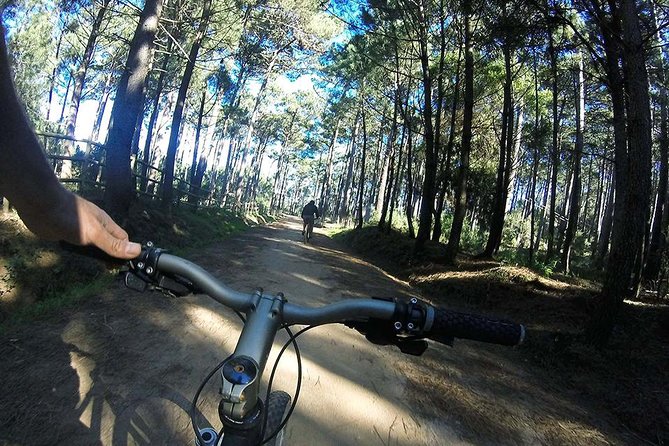 Private Mountain Biking Adventure in Sintra Cascais Park - Beginner-friendly trails: what the guide actually does for you