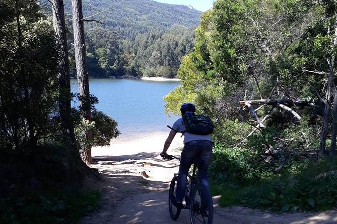 Private Mountain Biking Adventure in Sintra Cascais Park - Rain, mist, and still having a ride worth doing