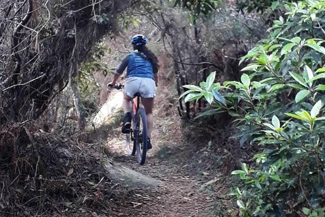 Private Mountain Biking Adventure in Sintra Cascais Park - Turn this into a perfect Cascais half-day after your ride