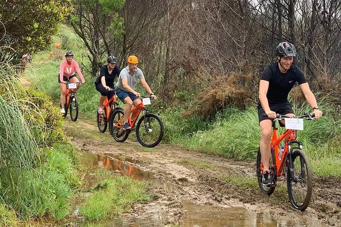 Private Mountain Biking Adventure in Sintra Cascais Park - Price and value: is $151.65 worth it?