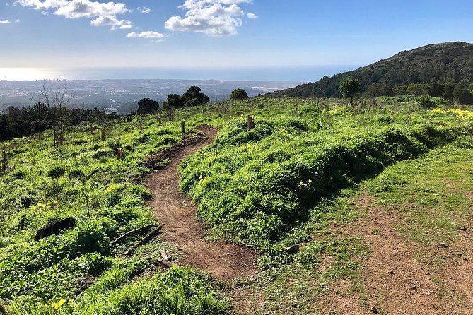 Private Mountain Biking Adventure in Sintra Cascais Park - Should you book this Sintra-Cascais mountain bike adventure?