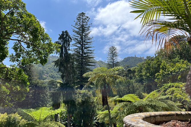 Private: Quinta da Regaleira & Sintra Historic Center Guided Tour - Palace, Towers, and the Architectural Mix You’ll Actually Notice