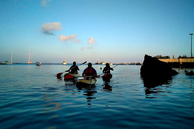 Private Sea Kayaking in Cascais, Lisbon - Should You Book Cascais Routes Private Sea Kayaking in Cascais?