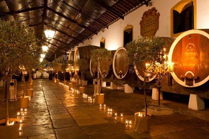 Private Sintra Tour from Lisbon with Cellar Visit and Wine Tasting - Cabo da Roca and the Atlantic edge: the westernmost point you can feel