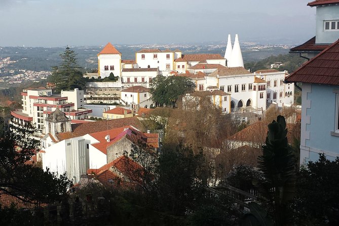 Private Sintra Tour from Lisbon with Regaleira Experience - Colares wine tasting: a focused taste instead of a long stop