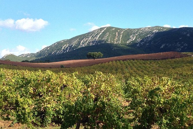 Private Tour: Arrábida Day Trip from Lisbon Including Wine Tasting - Full-Day Upgrade: Sesimbra Beach Break and Azeitao Muscatel