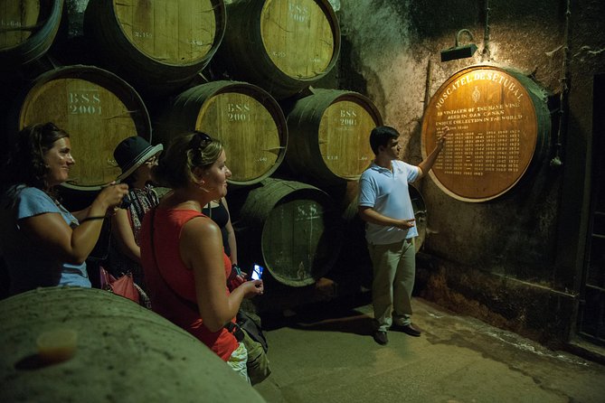 Private Tour: Arrábida Day Trip from Lisbon Including Wine Tasting - Christ the King Photos: Your Return to Lisbon in One Stop