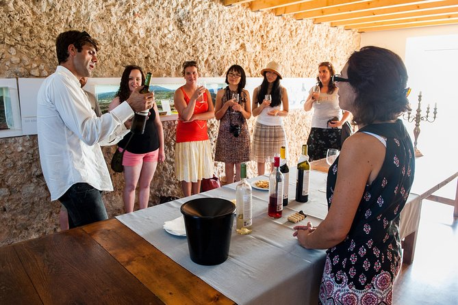 Private Tour: Arrábida Day Trip from Lisbon Including Wine Tasting - Logistics That Can Make or Break the Day