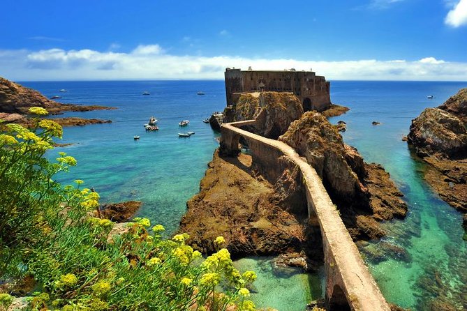 Private Tour: Berlenga Grande Island Day Trip from Lisbon - Why Berlenga Grande works as a day trip from Lisbon