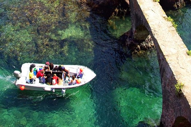 Private Tour: Berlenga Grande Island Day Trip from Lisbon - Berlenga Grande on foot: the fort, birdlife, and the reality of stairs