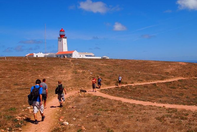 Private Tour: Berlenga Grande Island Day Trip from Lisbon - The cruise out to Berlenga: sea views, cave talk, and real-world comfort