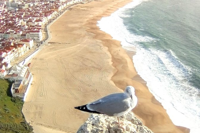 Private tour for 1 to 4 people: Fátima, Batalha, Nazaré and Óbidos - Price and value for groups up to four