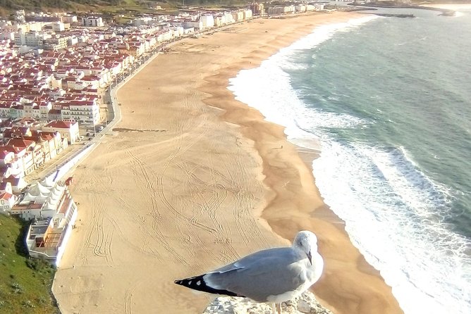 Private tour for 1 to 8 people: Fátima, Batalha, Nazaré and Óbidos - Who this tour fits best