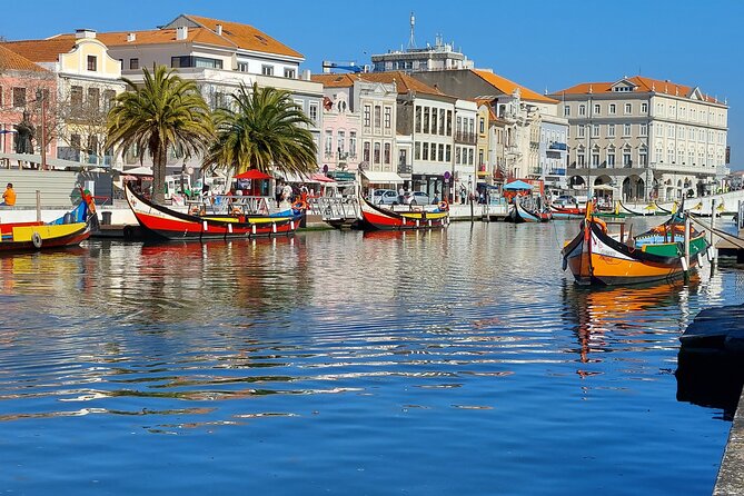 Private Tour from Lisboa to Aveiro and Porto - From Lisbon to Praia da Costa Nova: colored fishermen’s houses, no pressure