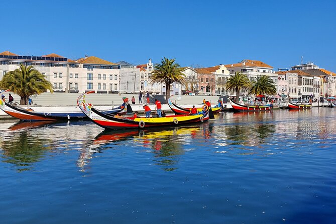 Private Tour from Lisboa to Aveiro and Porto - Porto’s center with UNESCO status: 7 hours of real freedom