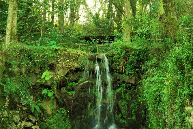 Private Tour From Lisbon: Sintra Mystic Trail in Five Hours - Booking advice: pick the right start time and palace