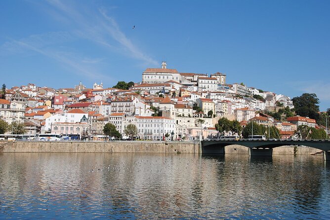 Private Tour: from Lisbon to Porto; visit to Óbidos, Fátima, Coimbra, Aveiro - Who this Lisbon to Porto day trip suits best
