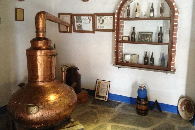 Private Tour in Evora and Monsaraz with Wine Tasting - Évora: getting the big sights in the right order