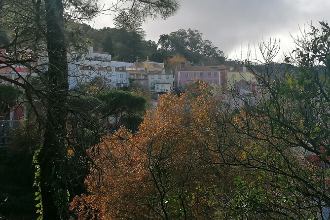 Private Tour in Sintra and Cascais - Sintra’s palace block: choosing between Pena, Quinta da Regaleira, and town time