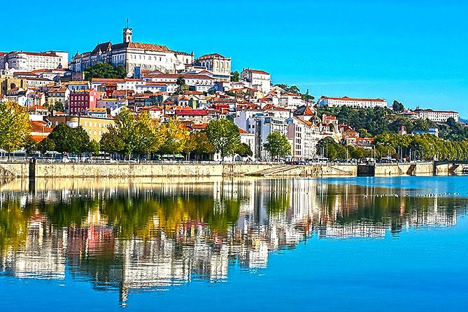 Private tour Portugal 6 days from Lisbon - Aveiro, Alcobaça, Nazaré, and Óbidos: ending with contrasts and calm walks