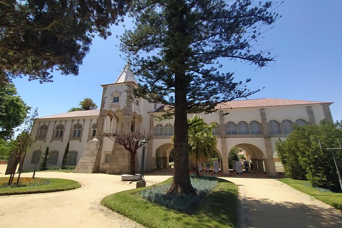 Private Tour to Évora with Wine tasting - Fitapreta Vinhos winery: tasting time in Alentejo country