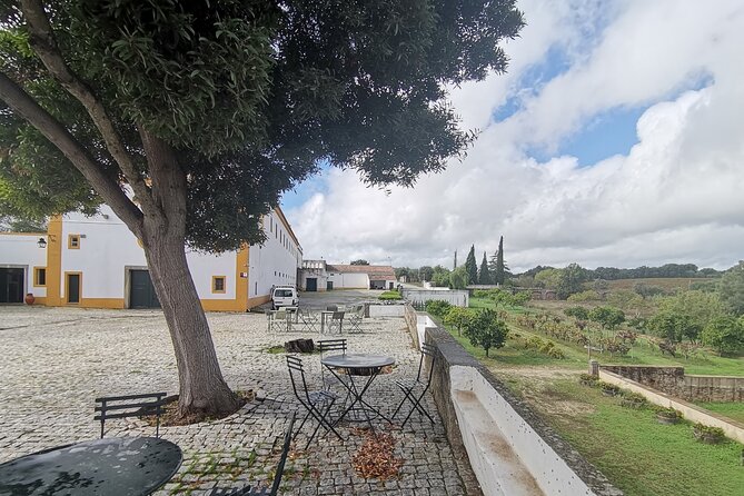 Private Tour to Evora with wine tasting at the Cartuxa Winery - Lisbon to Évora: why private transfers make the day work