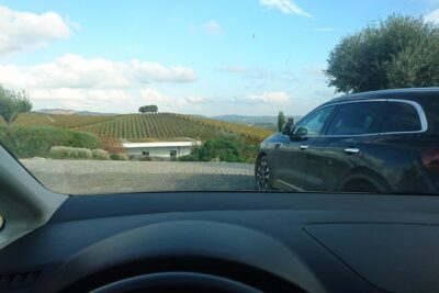 Private Transfer Between Lisbon, Porto, or Algarve - What your driver/guide actually does during the ride