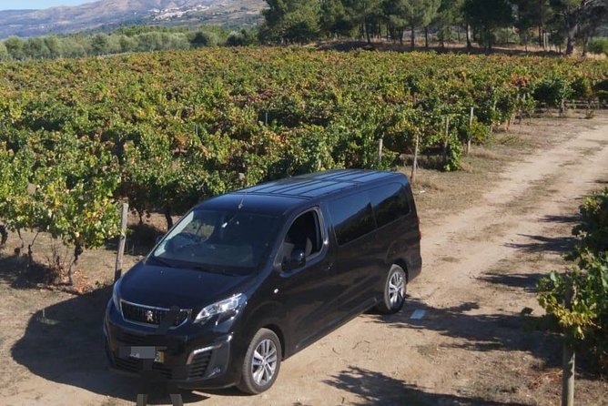 Private transfer - Lisbon - The driver: languages, tone, and why it matters