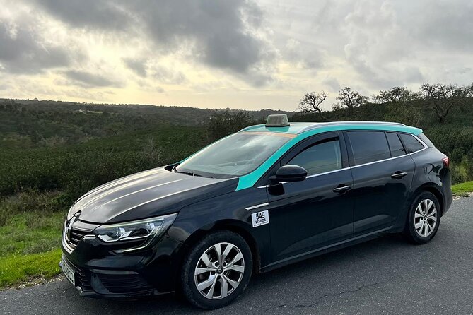 Private Transport in Lisbon - Inside the ride: WiFi, A/C, and a route through points of interest
