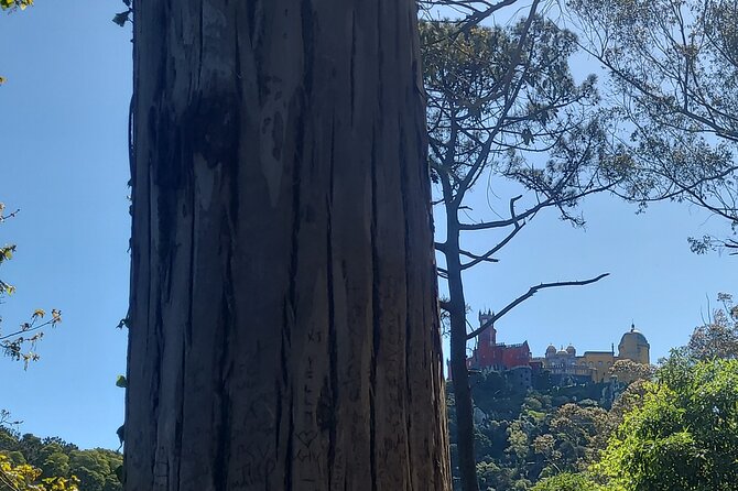 Private Tuk Tuk Tour around Magical Sintra and Coastline - Private Tuk Tuk, Small Group Pace in Sintra