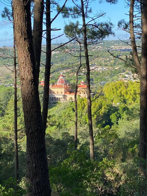Private Tuk Tuk Tour around Sintra - Monserrate Palace gardens: where the day turns peaceful