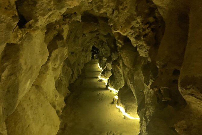 Quinta da Regaleira and Sintra visit half day private tour - FAQ