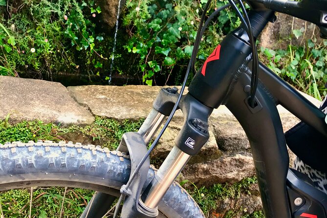 Relaxed E-bike in the backroads of Cascais and Sintra - Into the Sintra Forest: Quiet Paths Away From Crowds