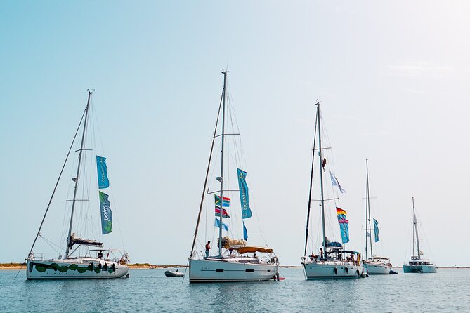 Sailing Experience in Lisbon - Portugal - Under the long bridge over the Tagus: the sound-and-scale moment