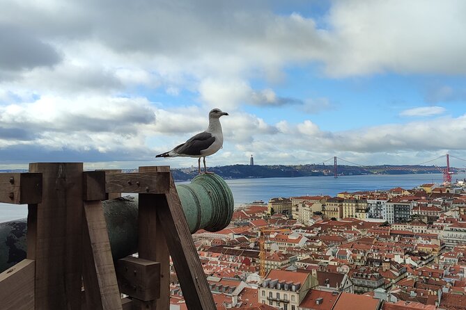 Saint George Castle Guided Tour from Lisbon - What you actually do on the castle walls (and why it matters)