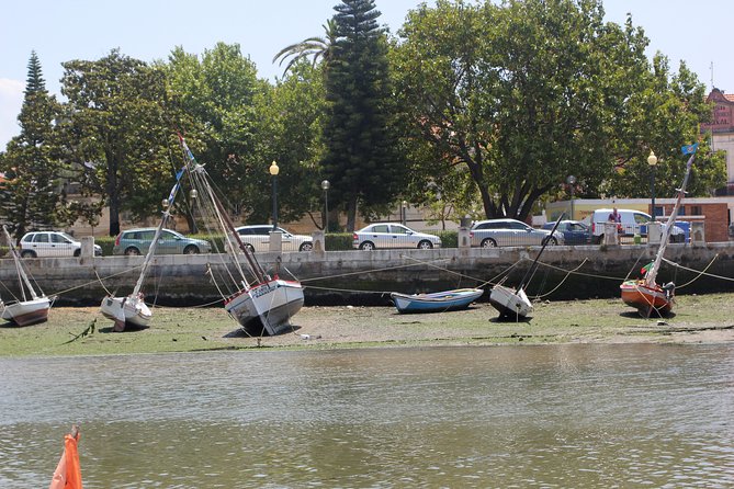 Seixal Sailing Cruise - Lunch in a typical restaurant - Weather: how wind can change the plan (and how it still stays good)