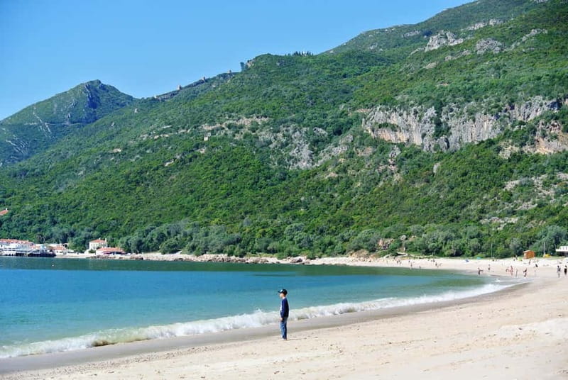 Sesimbra & Arrábida National Park Tour with 5 Wines Tasting - Key things to know before you go