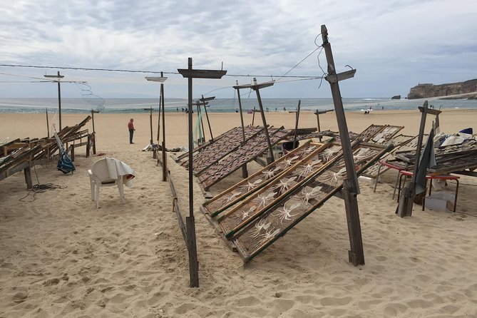 Sesimbra, Azeitao and Setubal Private Tour with Wine Tasting - Setúbal harbor heritage and Bocage Square breaks